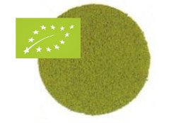 Detailansicht von Bio Uji Matcha Tee Premium Pulver, tiefgrüne Farbe mit EU-Bio-Logo